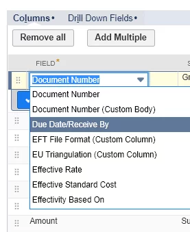 NetSuite UI's drop-downs