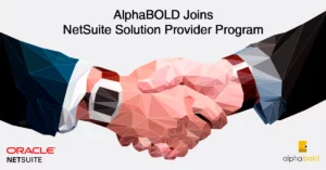 netsuite solution provider