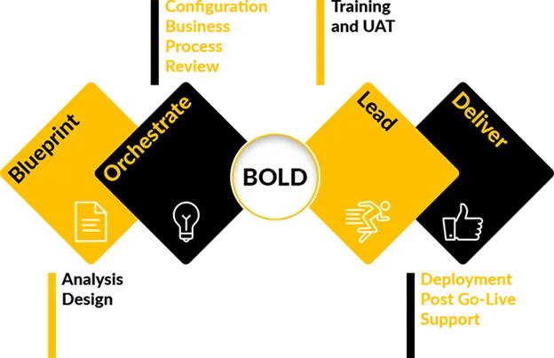 Infographics show the structure to project’s execution