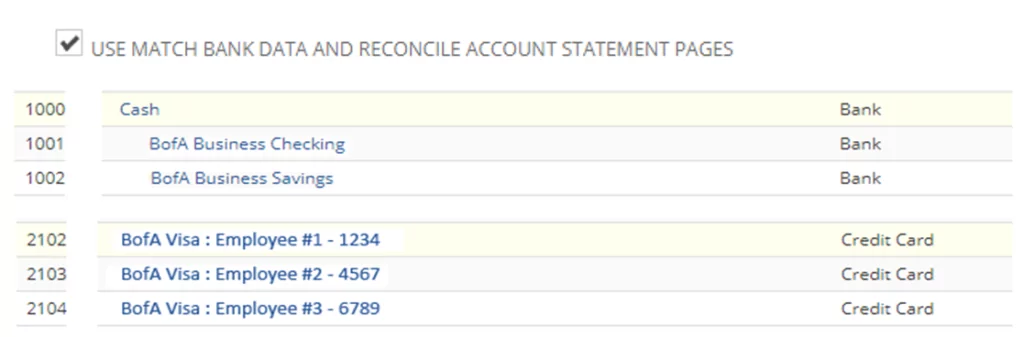 Infographics show the NetSuite Bank Feeds - account statement pages