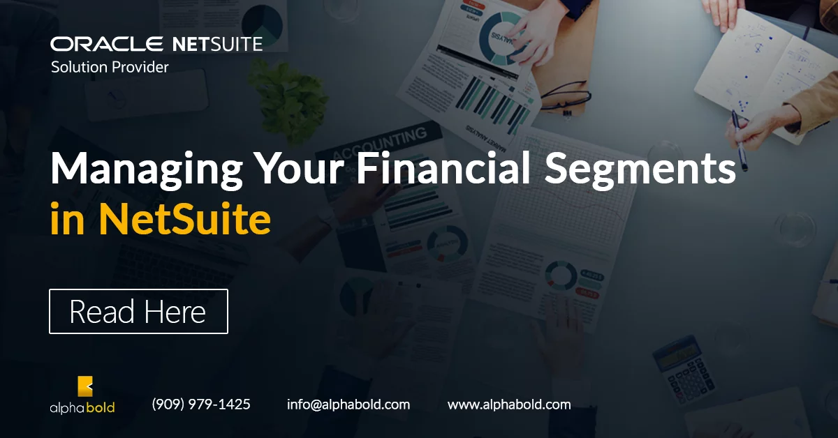 blog-netsuite-financial-segments