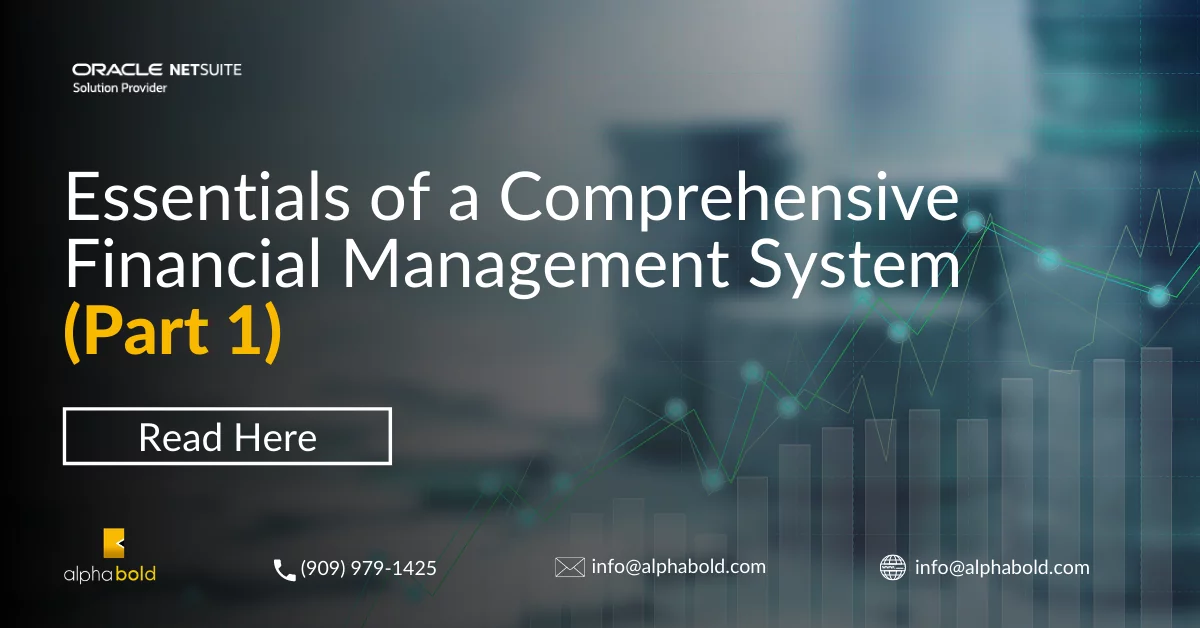 Infographics show the Financial Management System - Part1