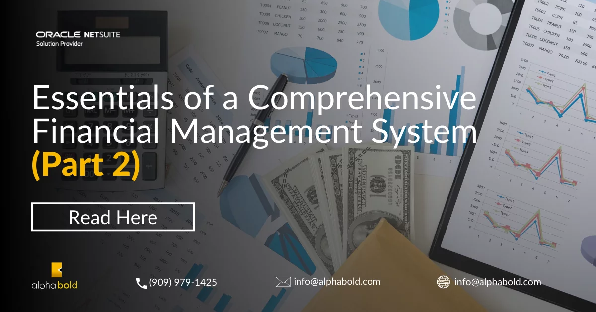 Infographics show the financial Management system netsuite