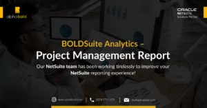 BOLDSuite Analytics – Project Management Report