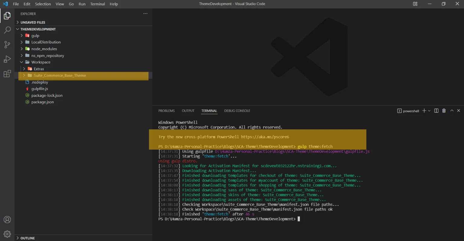 NetSuite using the command