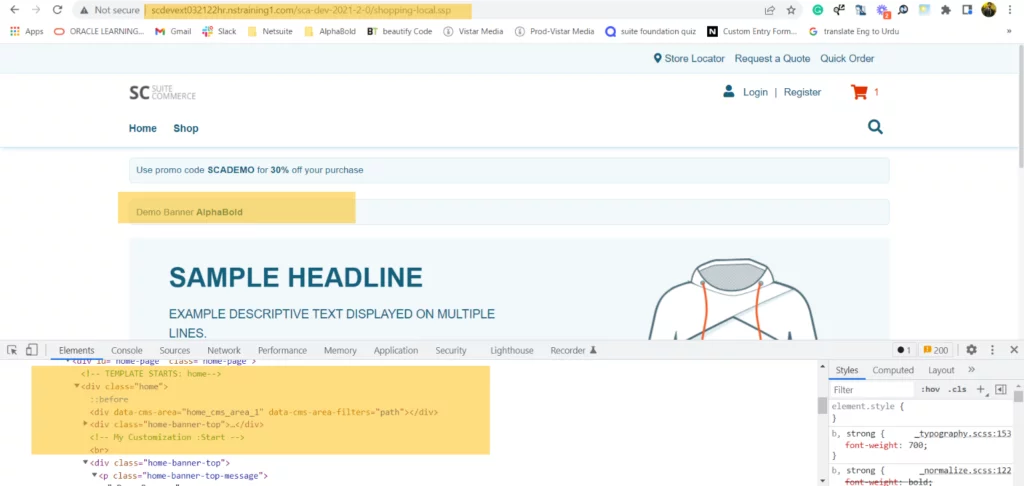 Infographics show the NetSuite consultants can customize the theme