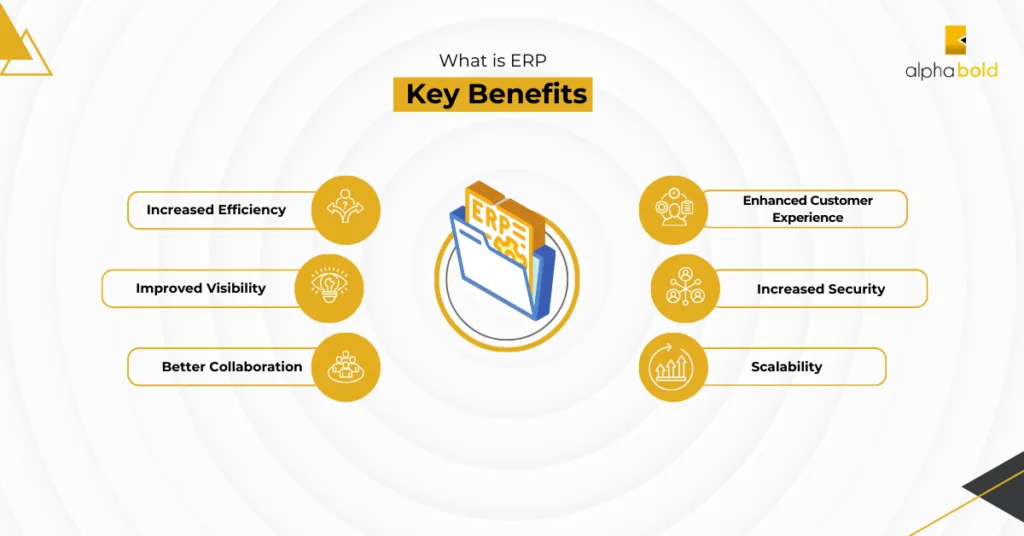 Infographics show the What is ERP – Key Benefits