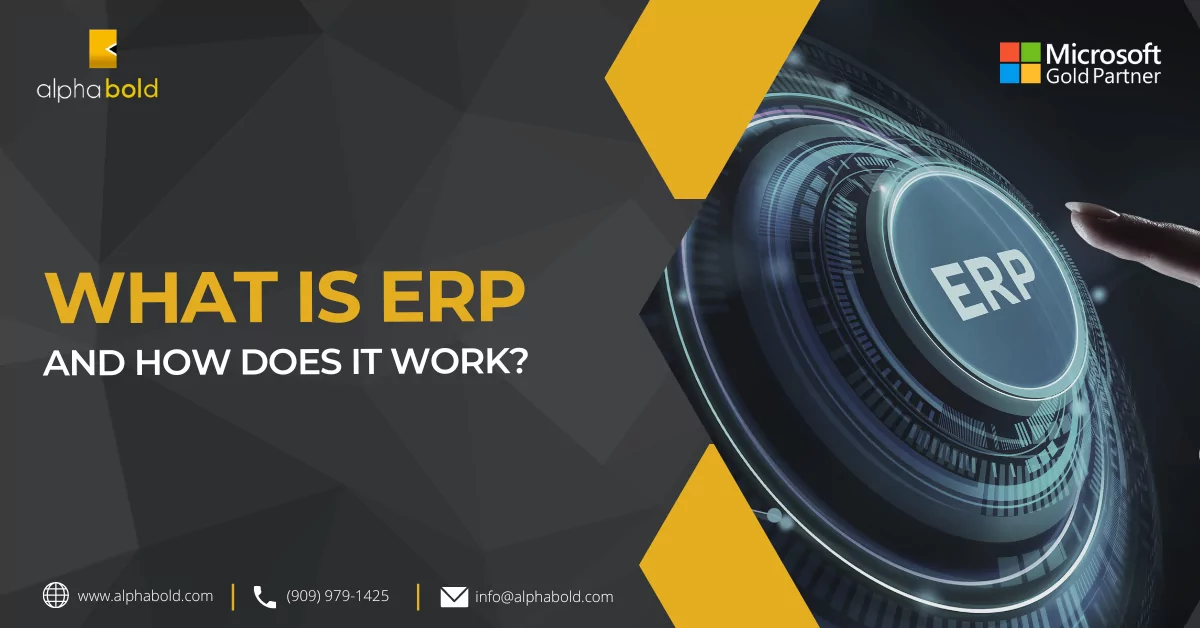 What is ERP