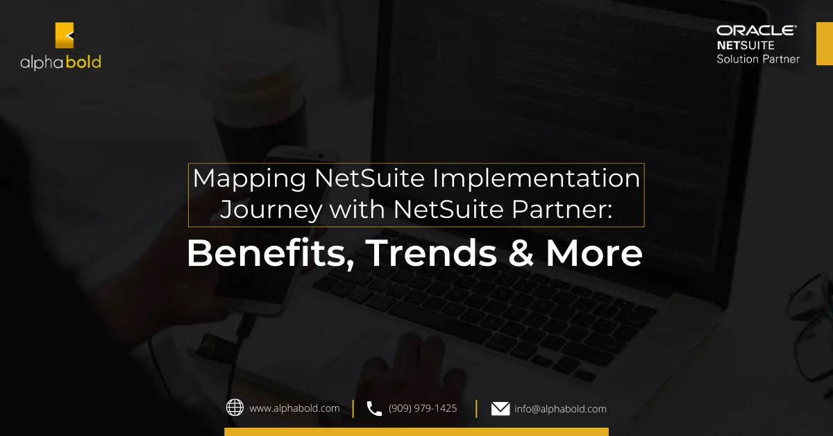 Infographics show that NetSuite Implementation Journey with NetSuite Partner