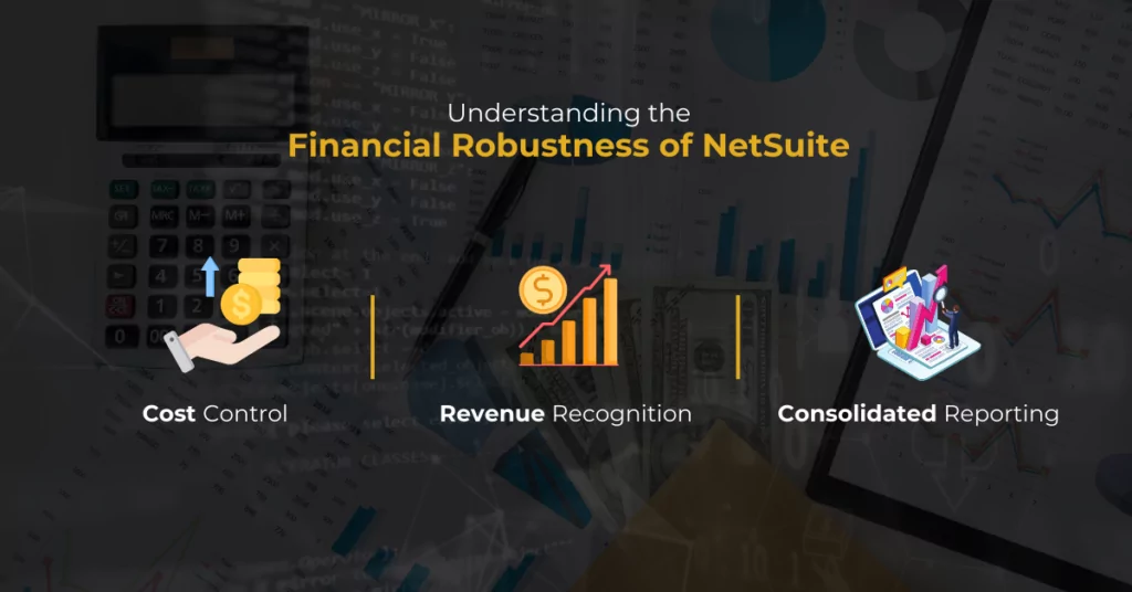 Understanding the Financial Robustness of NetSuite​
