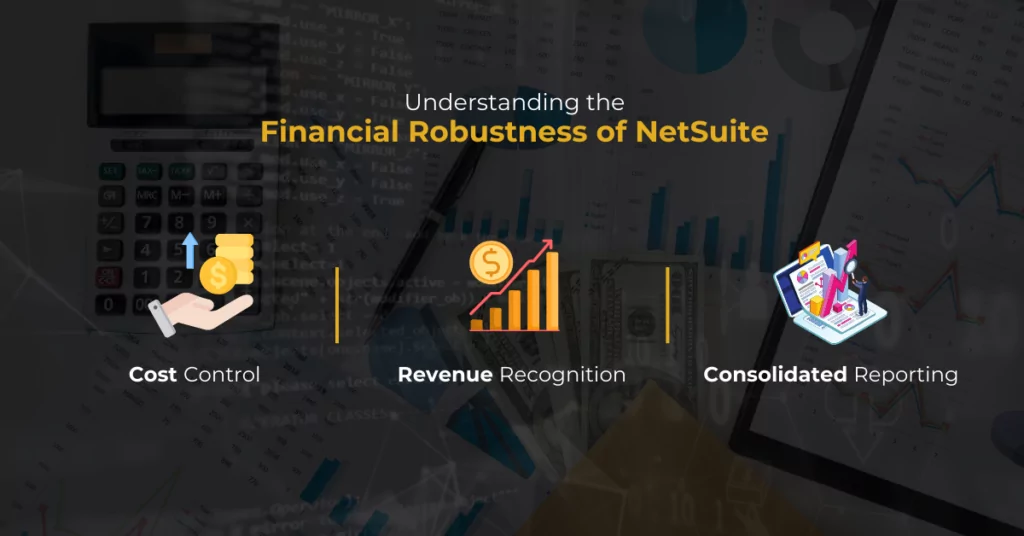 Infographics show the Understanding the Financial Robustness of NetSuite​