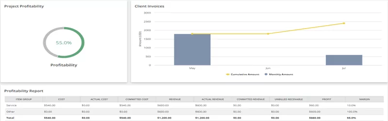 Infographics show the Budgeting and Financials