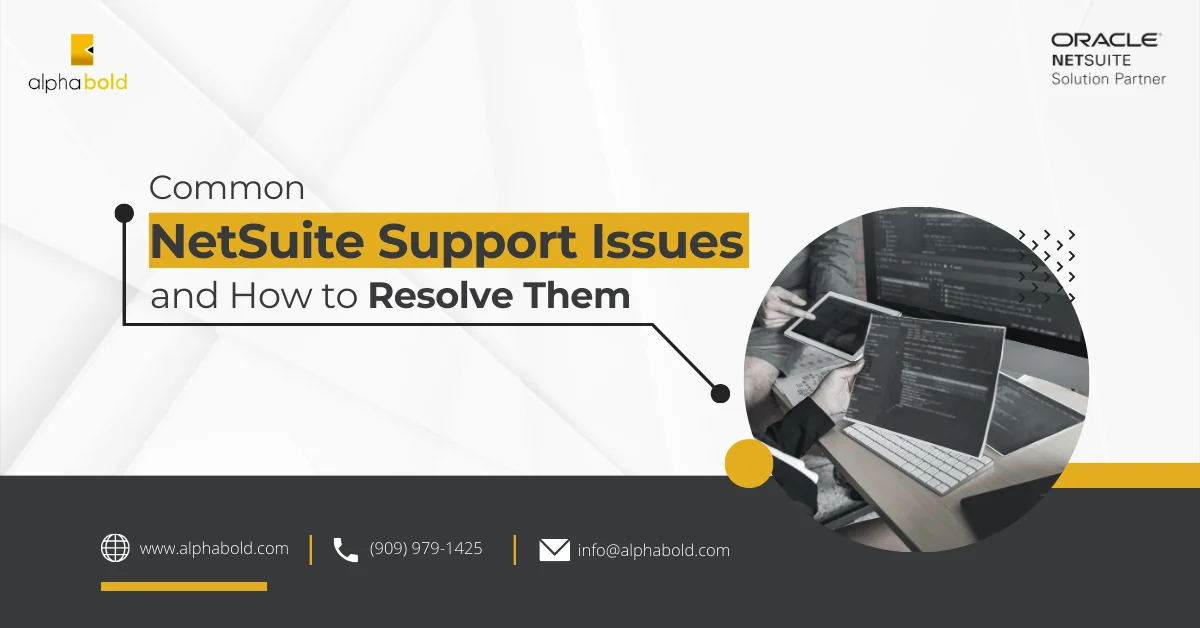 Infographic that show the common NetSuite Support Issues and How to Resolve Them