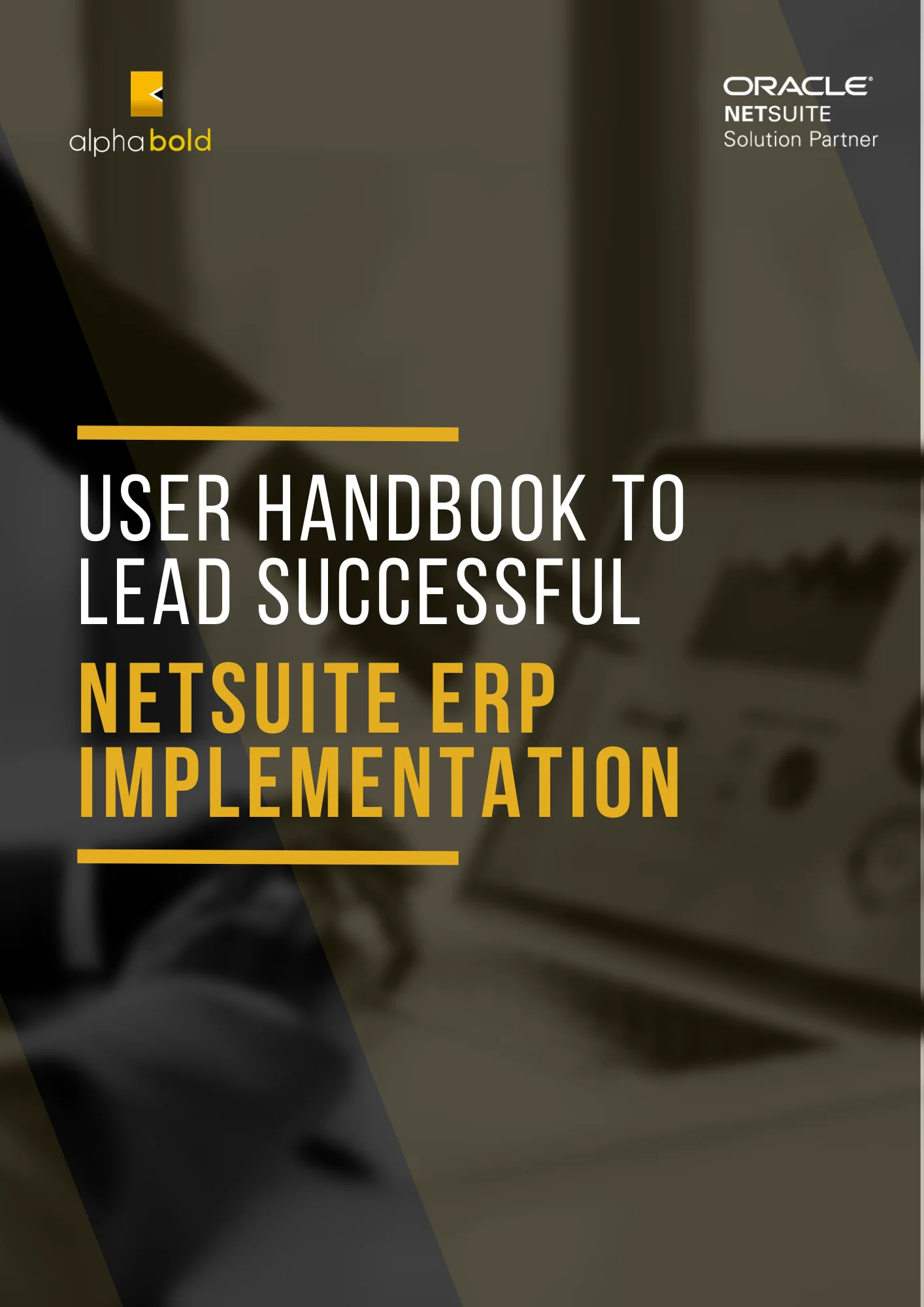 this image show's the Lead Gateway: User Handbook to Lead Successful NetSuite ERP Implementation