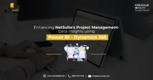 Infographics show the Enhancing NetSuite's Project Management- Data insights using Power BI