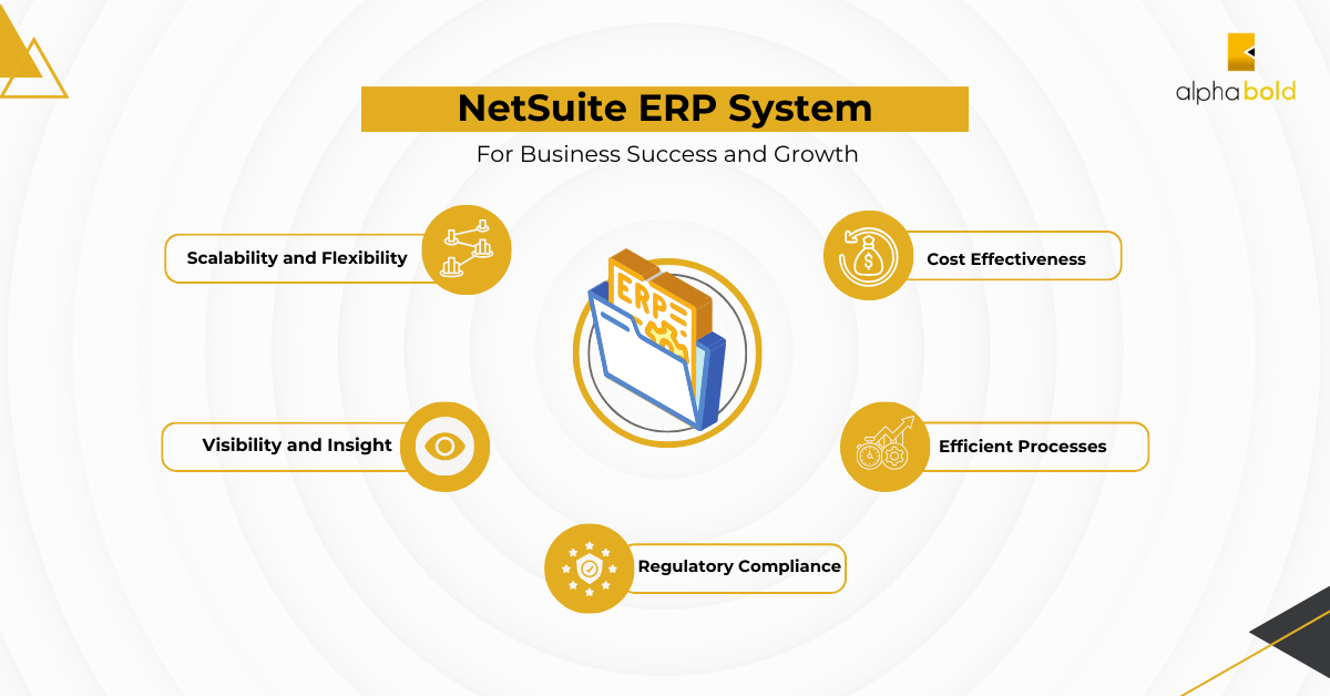 this image shows the reasons that the NetSuite ERP system is a great choice