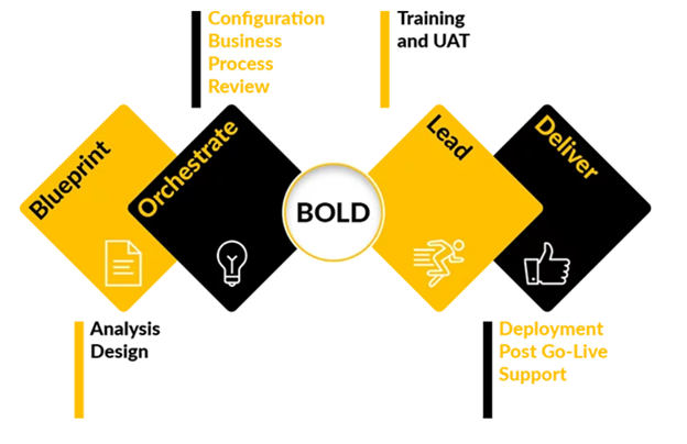 AlphaBOLD Expertise - BOLD Process