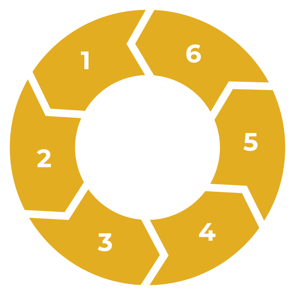 ERP Implementaion phases