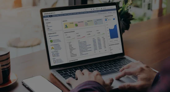 Analytics & Reporting - Netsuite Customization