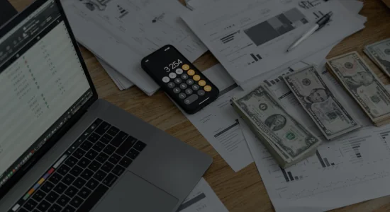 Financial Management - Netsuite Customization