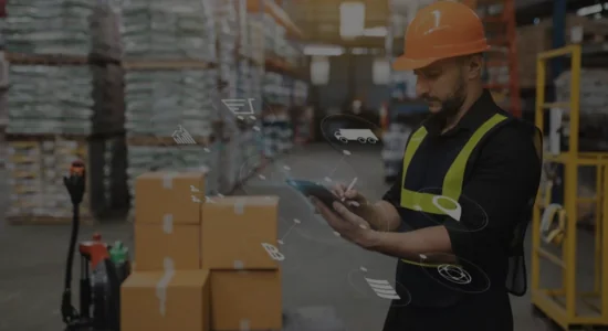 Inventory & Supply Chain - Netsuite Customization