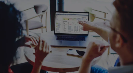 Project Management - Netsuite Customization