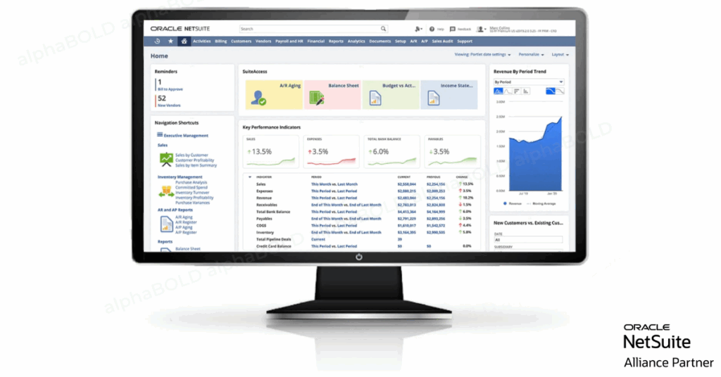Netsuite Dashboard