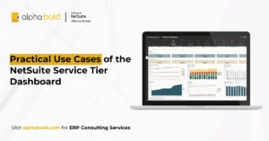 Practical Use Cases of the NetSuite Service Tier Dashboard
