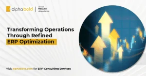 erp optimization