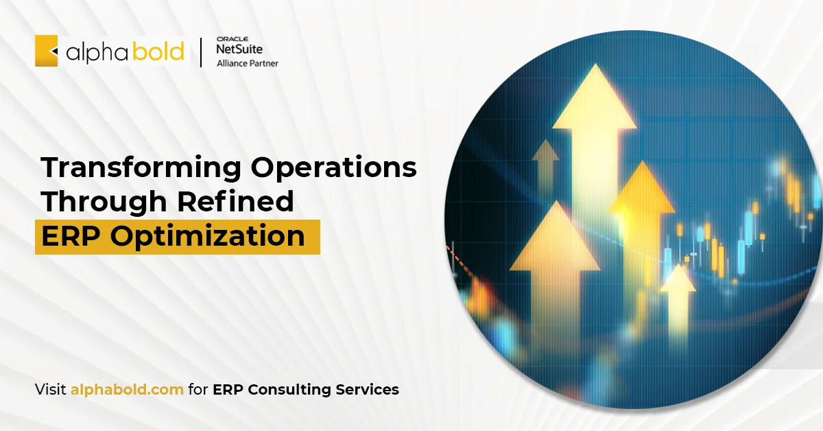 erp optimization