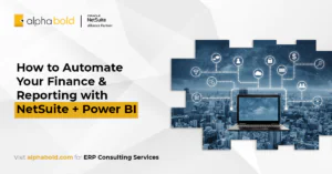 netsuite power bi