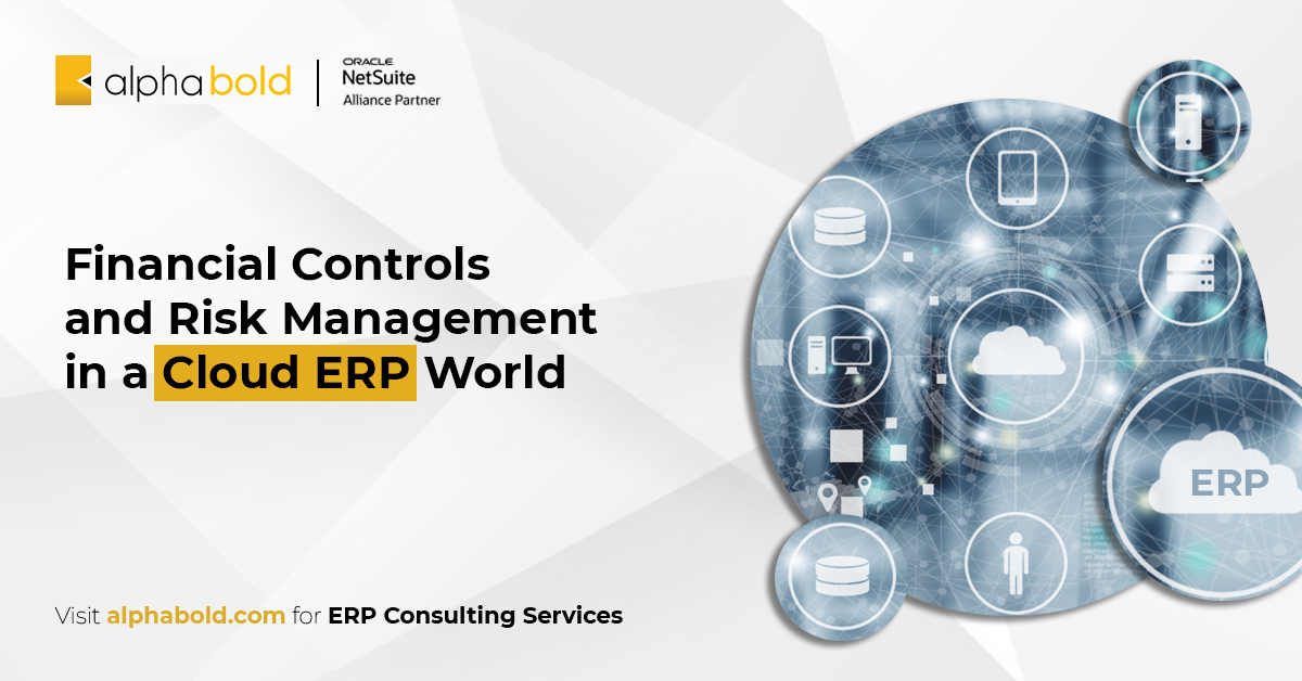 Financial Controls and Risk Management in a Cloud ERP World