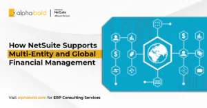 netsuite multi-entity