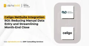 Celigo NetSuite Integration ROI